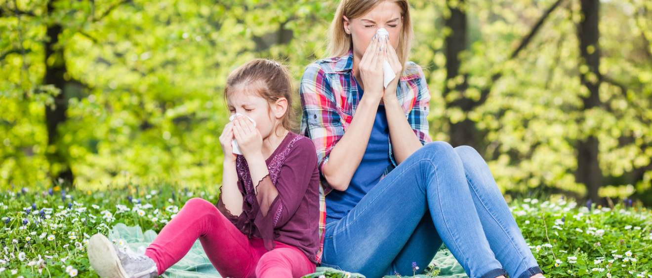 Saratoga Chiro-Allergies and Chiropractic Care
